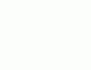 Video-2.gif