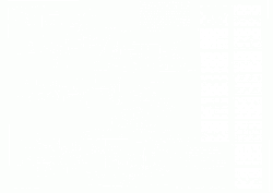 Video-1.gif